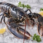 Homard