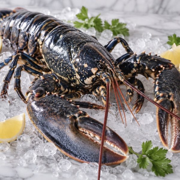 Homard
