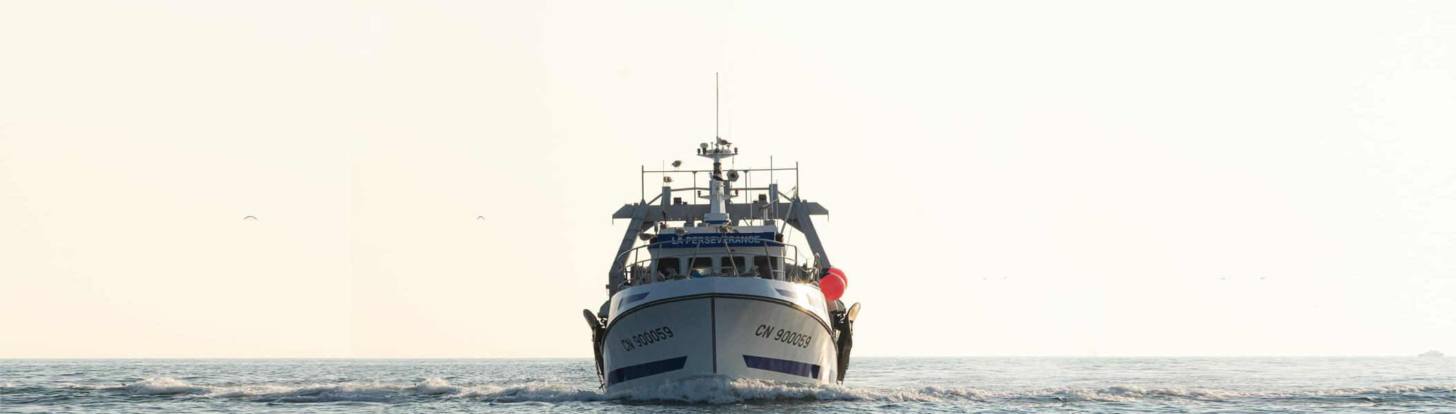 chalutier de peche-La Perseverance-bateau qui navigue dans la Manche et Calvados-vue de face